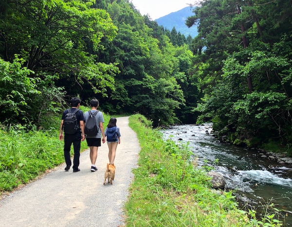 산자락을 따라 강아지와 오르는 풍경