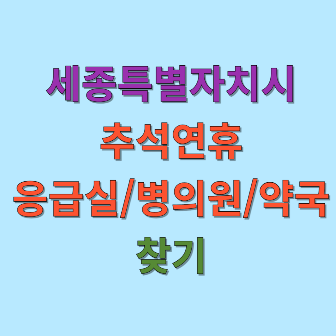 세종특별자치시 추석 연휴 응급실, 병의원, 약국 찾기 가이드