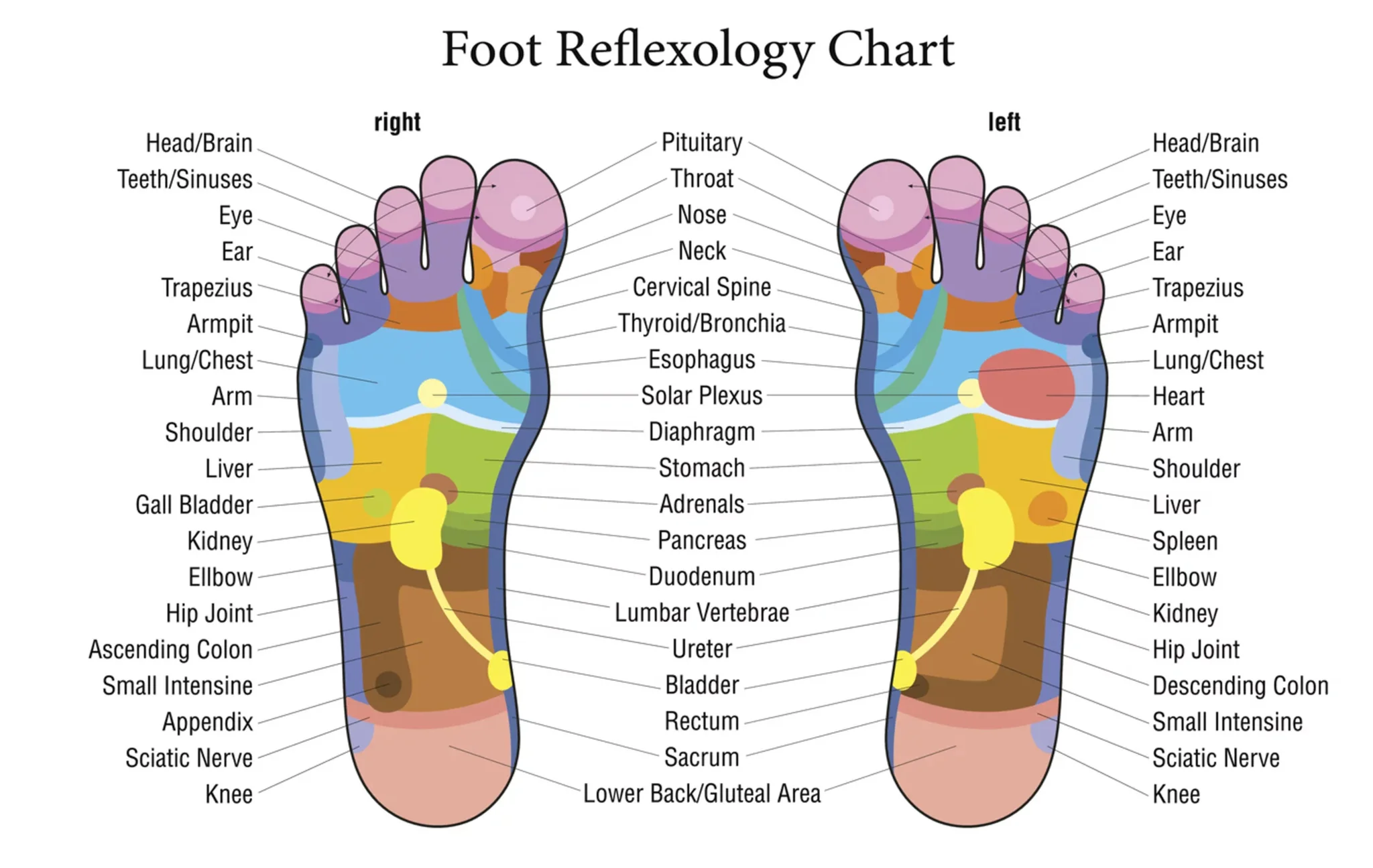 발바닥 건강의 중요성과 컨디션에 미치는 영향