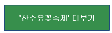 산수유꽃축제 더보기