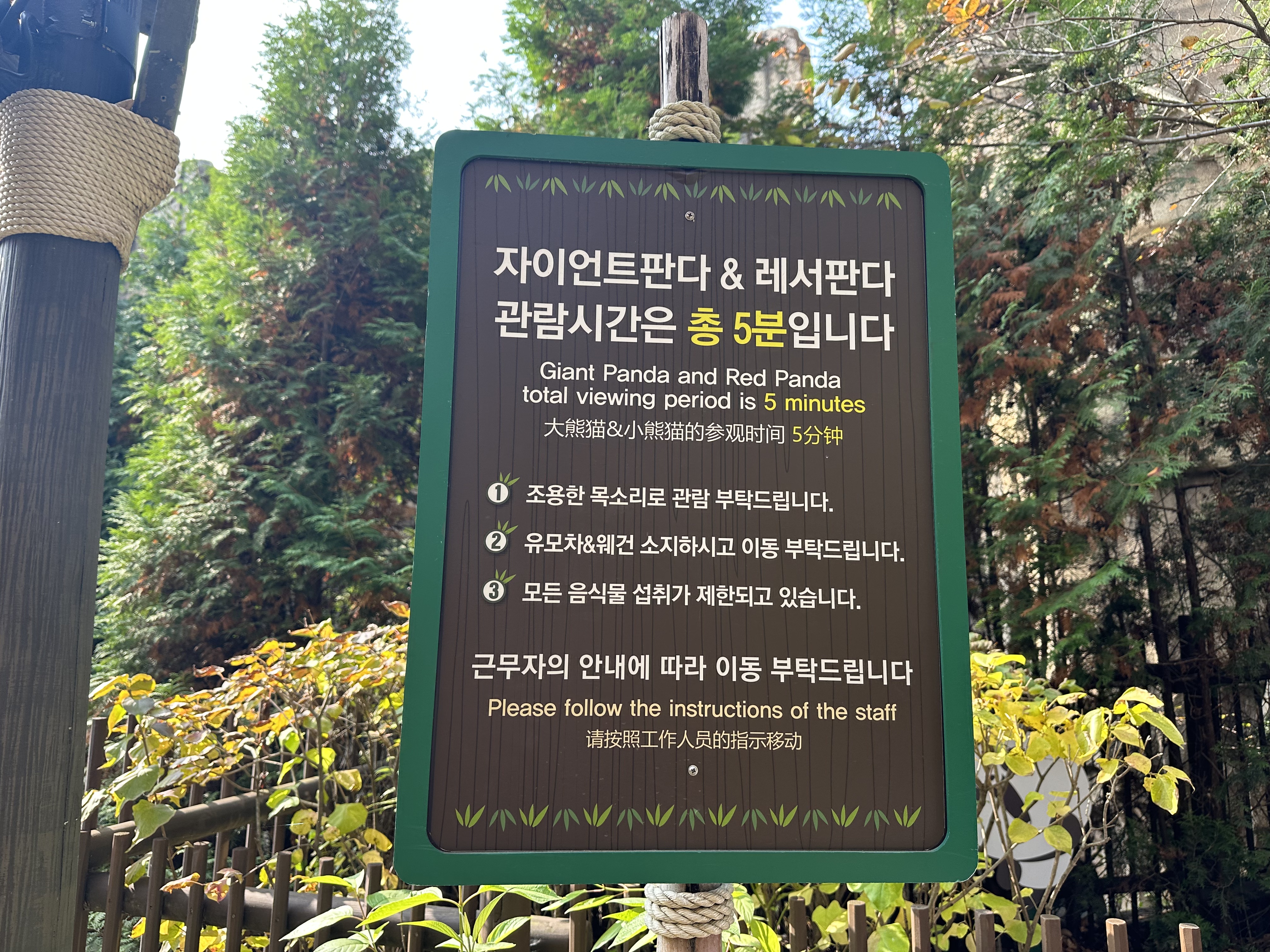 자이언트판다와 레서판다 관람시간은 총5분입니다 
1.조용한 목소리로 관람부탁드립니다
2.유모차와 웨건은 소지하시고 이동 부탁드립니다
3모든 음식물 섭취가 제한되고 있습니다
근무자의 안내에 따라 이동 부탁드립니다
