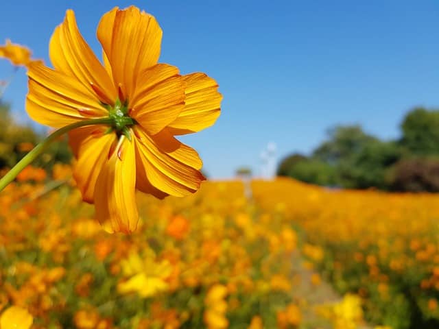 카카오톡 대화로 배우는 한국어 실생활 표현