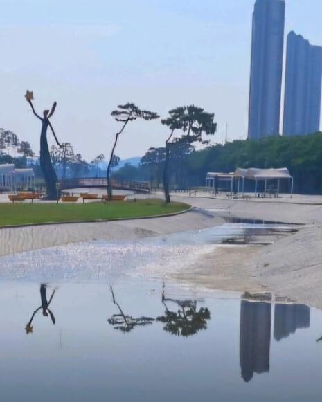 영천시 대중교통 무료 70세 이상 어르신 복지 무임교통카드 교통비 지원