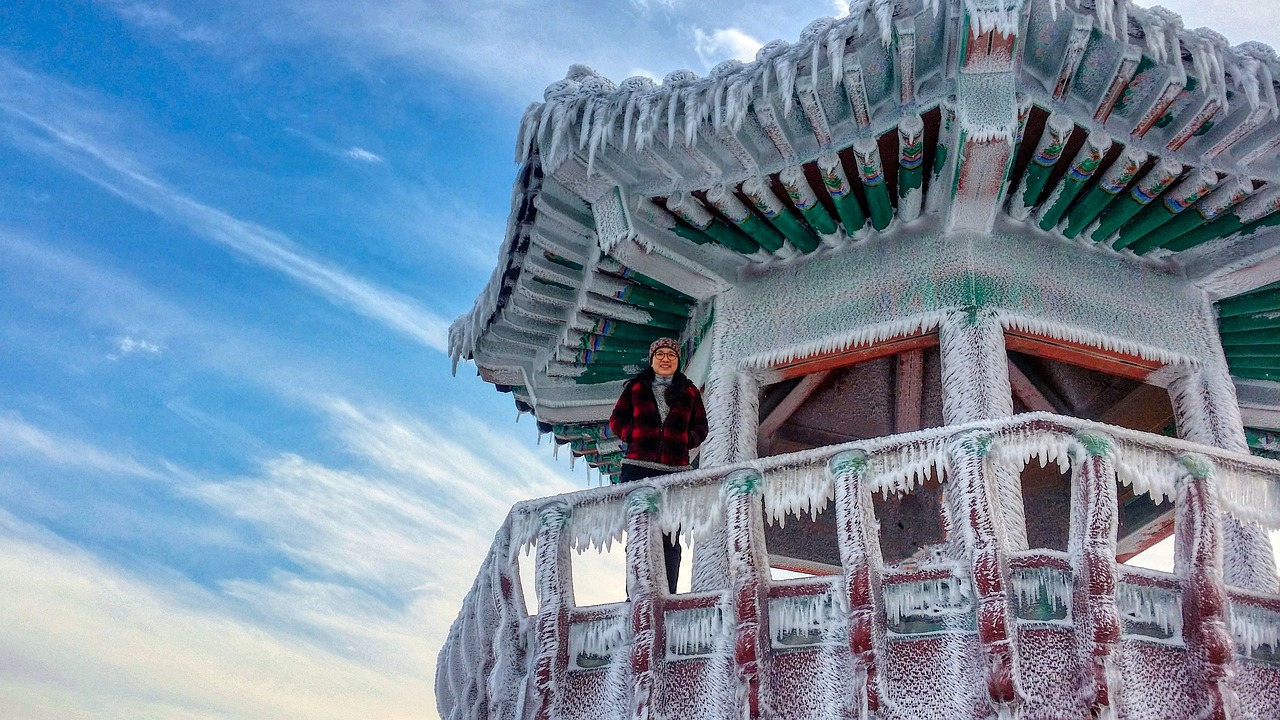 아쿠아포닉스 농산물 유통 및 브랜딩 전략 완전 가이드