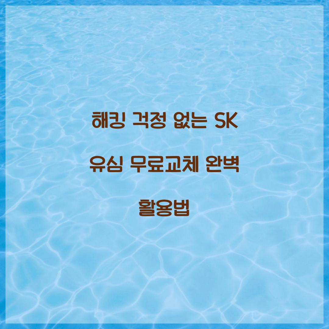 해킹 걱정 없는 SK 유심 무료교체 활용법