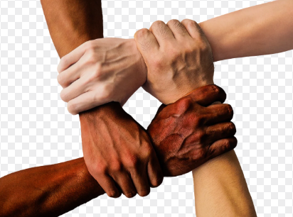 내 블로그 글끼리 연결하는 가장 좋은 방법, 내부 링크로 콘텐츠를 하나의 흐름으로 만드는 법