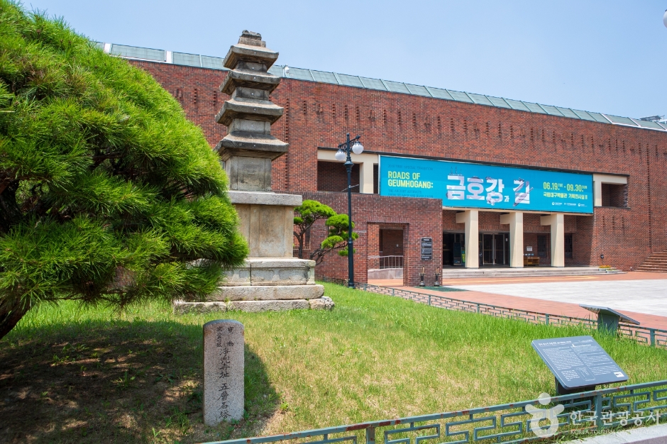국립대구박물관 어린이박물관 사전예약 vs 현장예약 비교