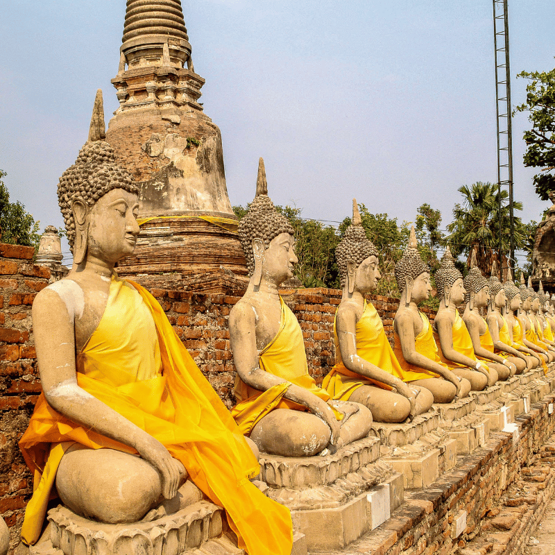 블랙핑크 리사 재계약