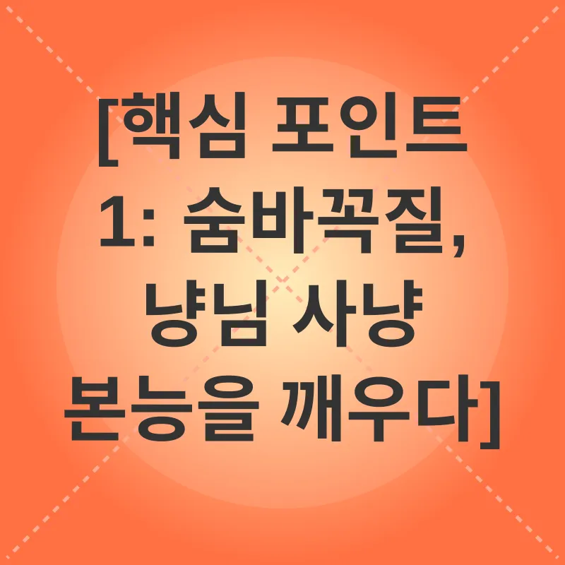 유연성 향상_2
