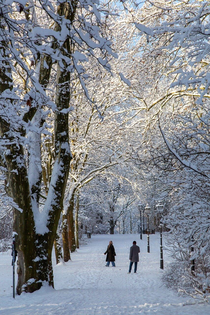 헬시플레저 식단 작성법, 루틴 기록