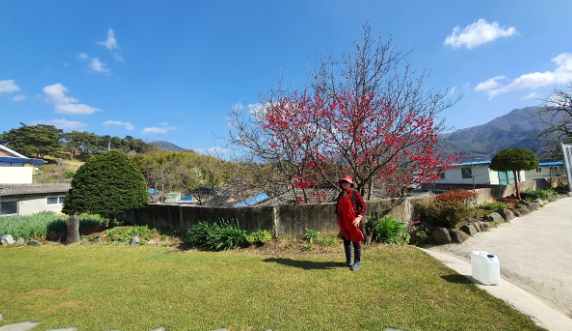 지리산 매동마을 민박 &amp; 산나물 밥상 숙박 정보