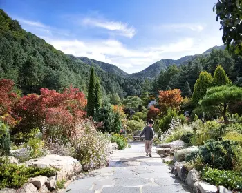 아침고요수목원_2