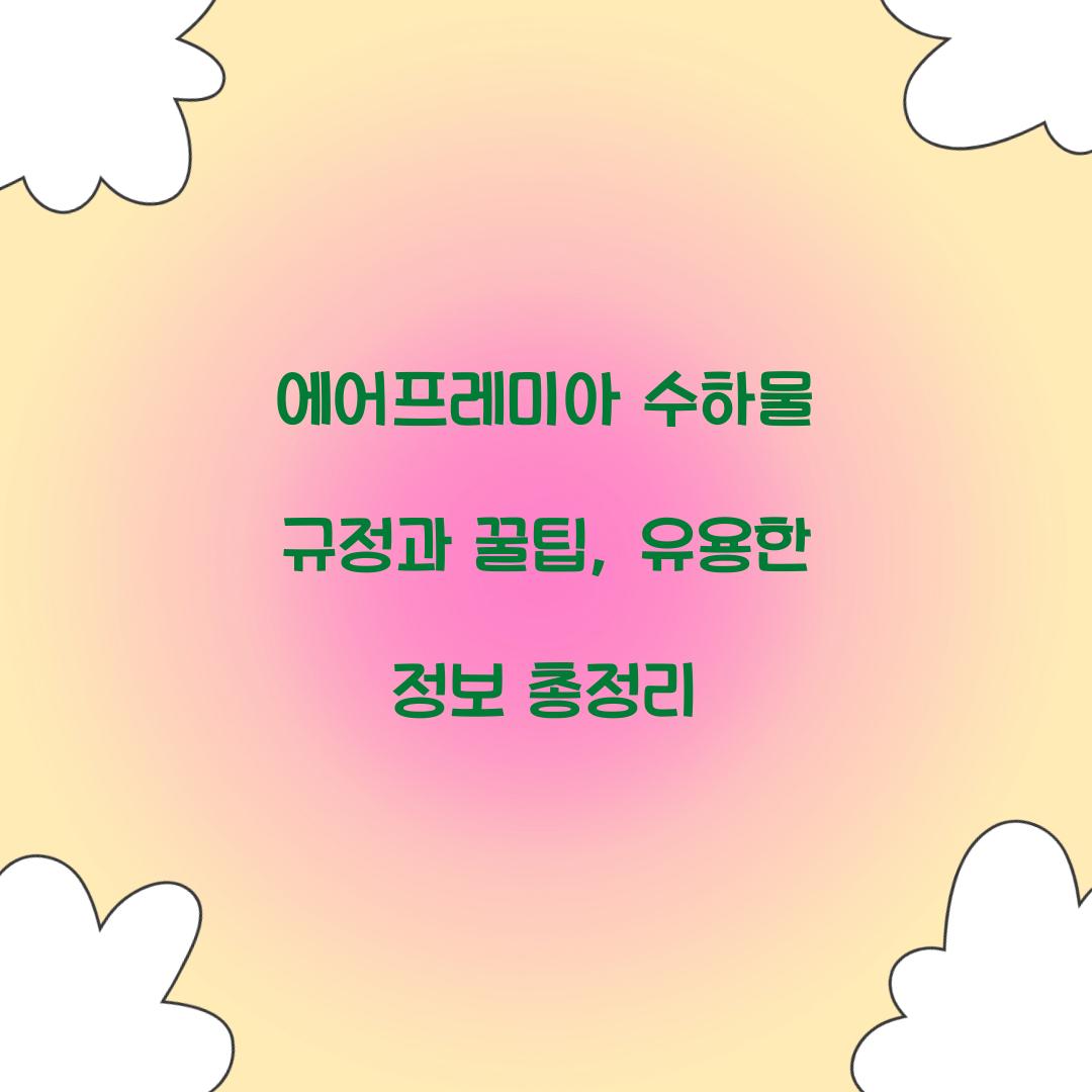 에어프레미아 수하물