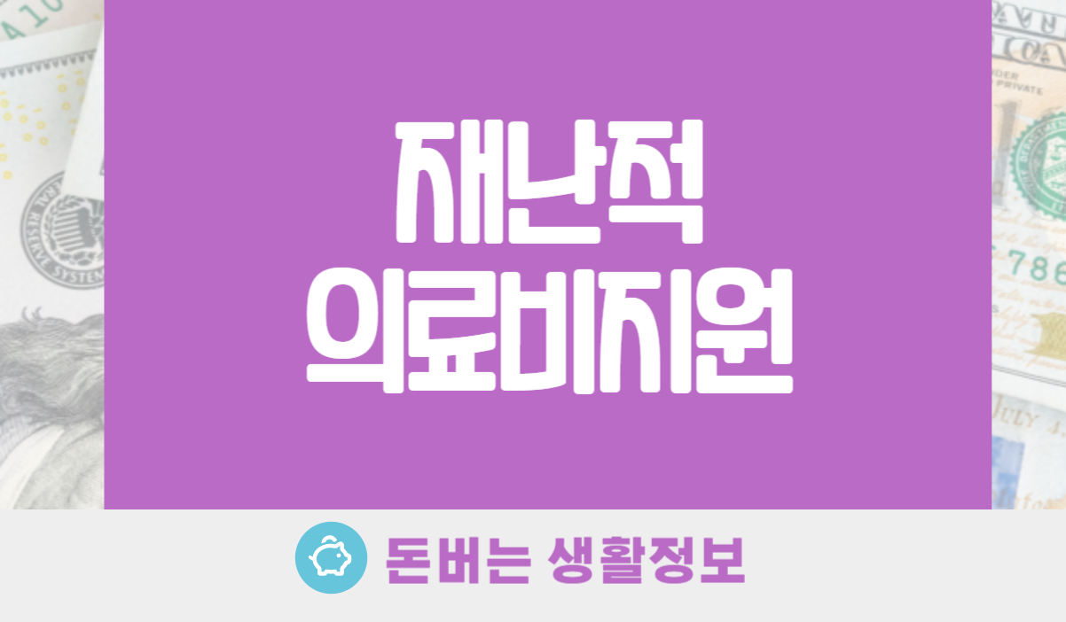 재난적의료비지원