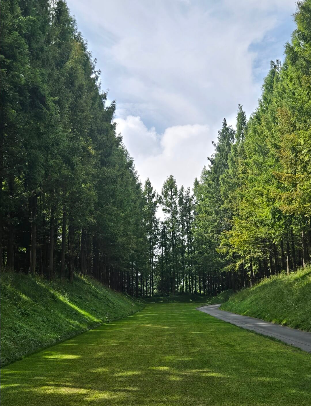 블루헤런CC 동코스 울창한 나무 티잉그라운드