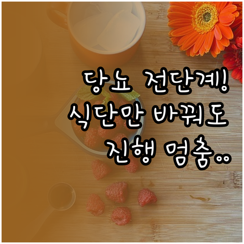 당뇨병 진행 막는 당뇨 전단계 식단 ..