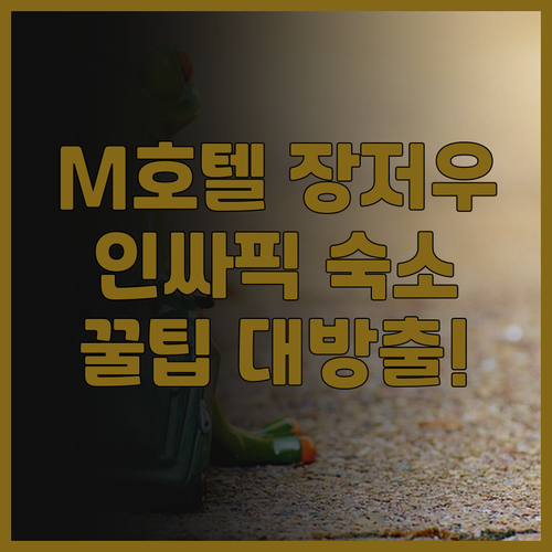M 호텔 장저우, 정저우 인싸들의 선..