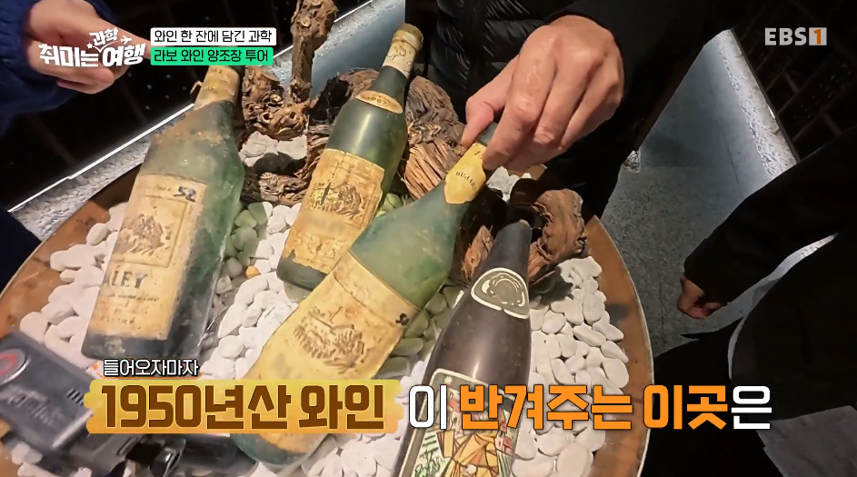 와인 좋아하는 사람들이 가면 눈 뒤집어지는 곳.jpg | 인스티즈