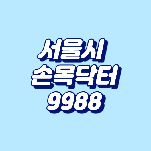 서울시 &lsquo;손목닥터 9988'