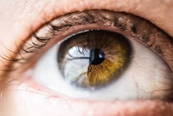 루테인 지아잔틴 아스타잔틴 부작용 효능 복용시간