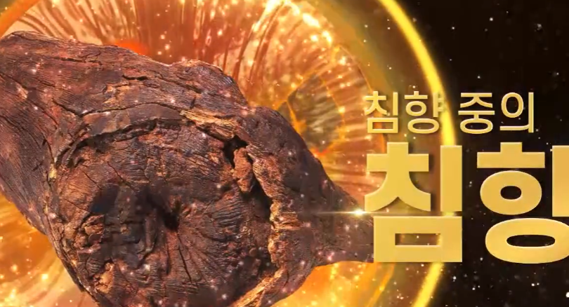 침향환 효능&amp;#44; 가격&amp;#44; 모든 것!(광동 침향환 집중 분석) 