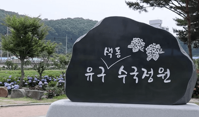 공주 수국 축제
