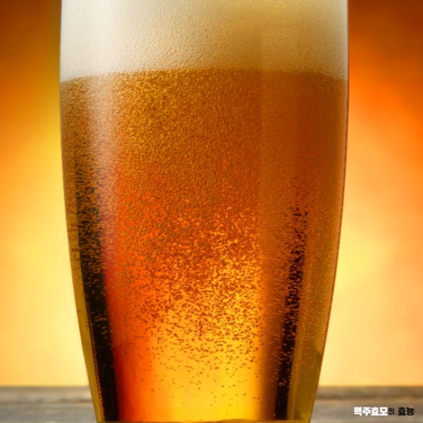 맥주효모의 효능