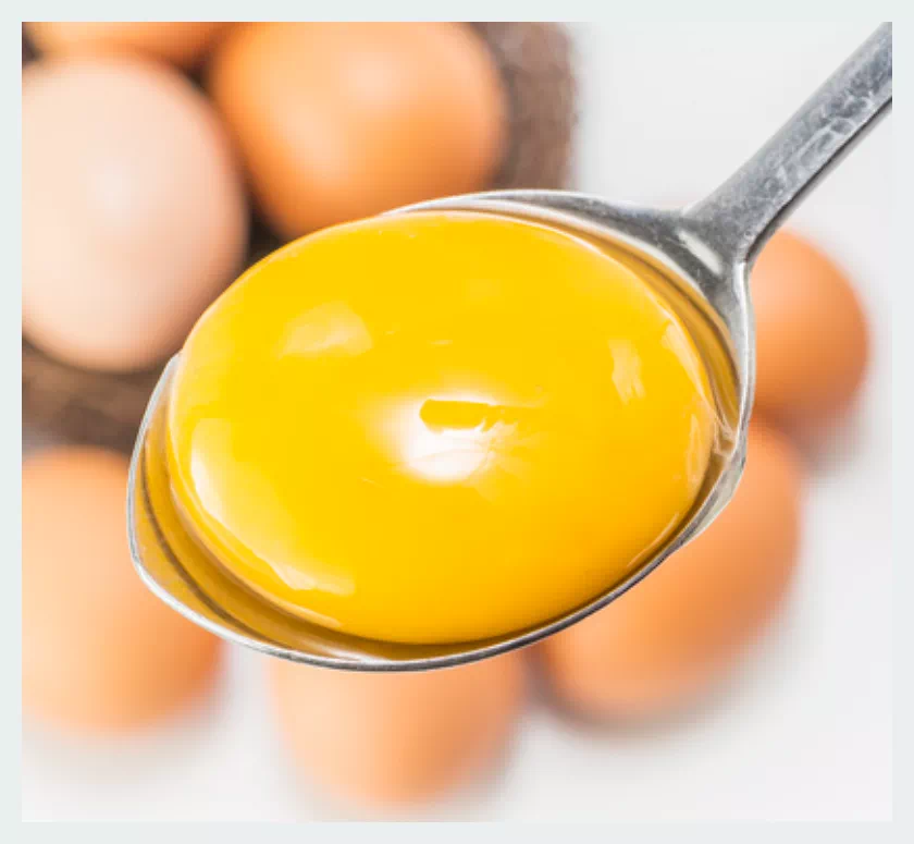 계란 노른자