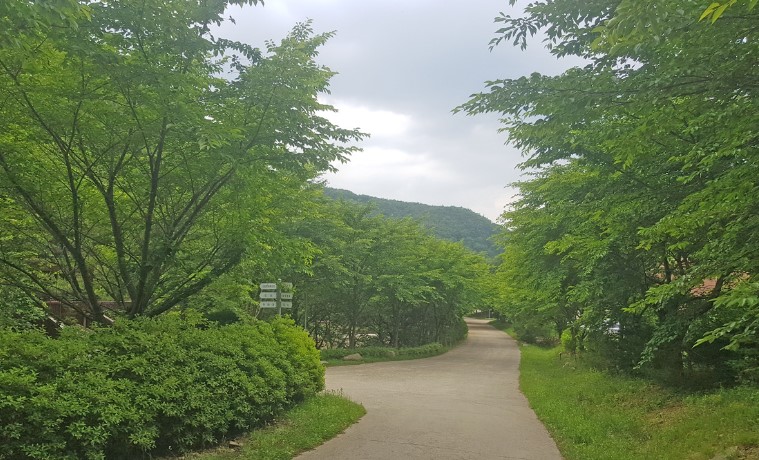 용현 자연휴양림(1)