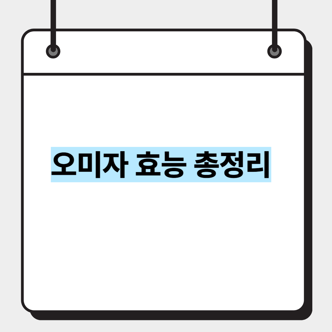오미자 효능 총정리