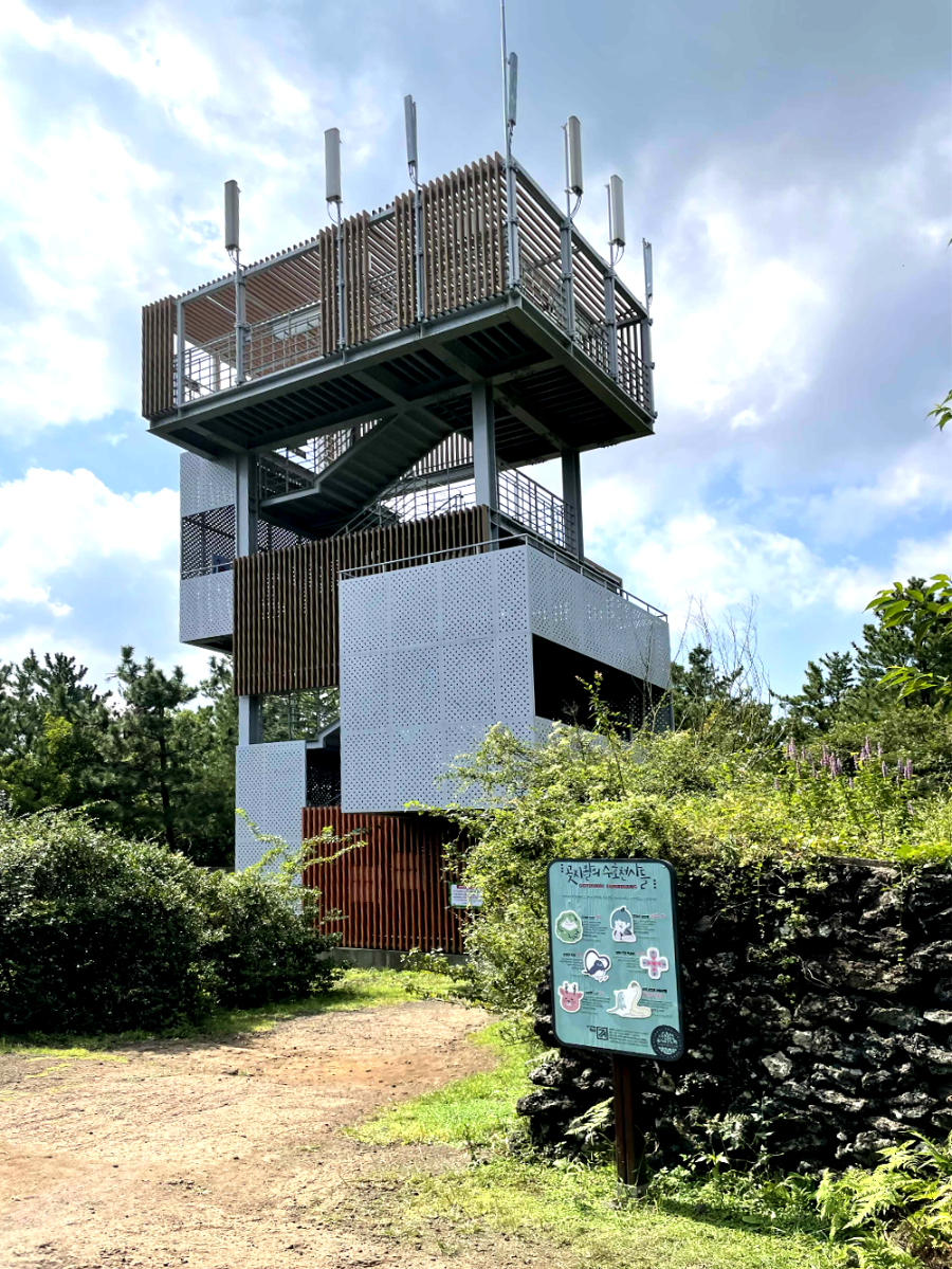 제주 곶자왈 도립공원 전망대