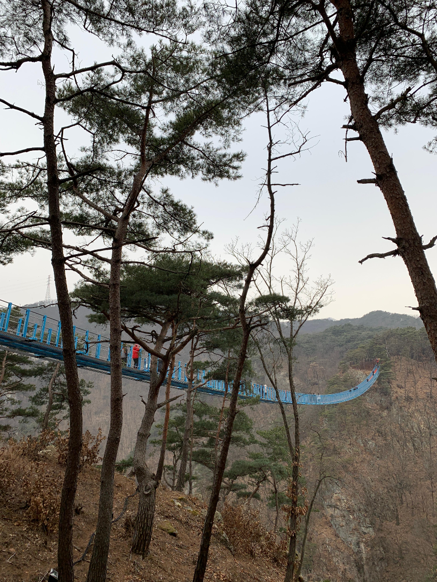 추운 겨울 정선 2박3일 여행 가볼만한 곳 05 - 정선아리랑시장, 회동집, 원주 소금산 출렁다리