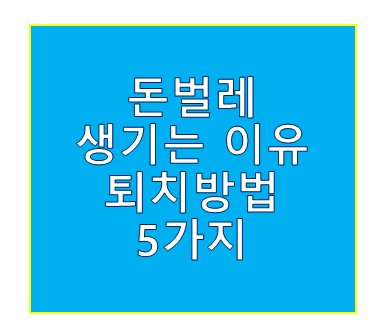 돈벌레 생기는 이유