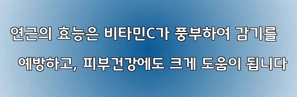 연근의 효능은 비타민C가 풍부하여 감기를 예방하고, 피부건강에도 크게 도움이 됩니다