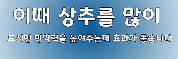  이때 상추를 많이 드시면 면역력을 높여주는데 효과가 좋습니다