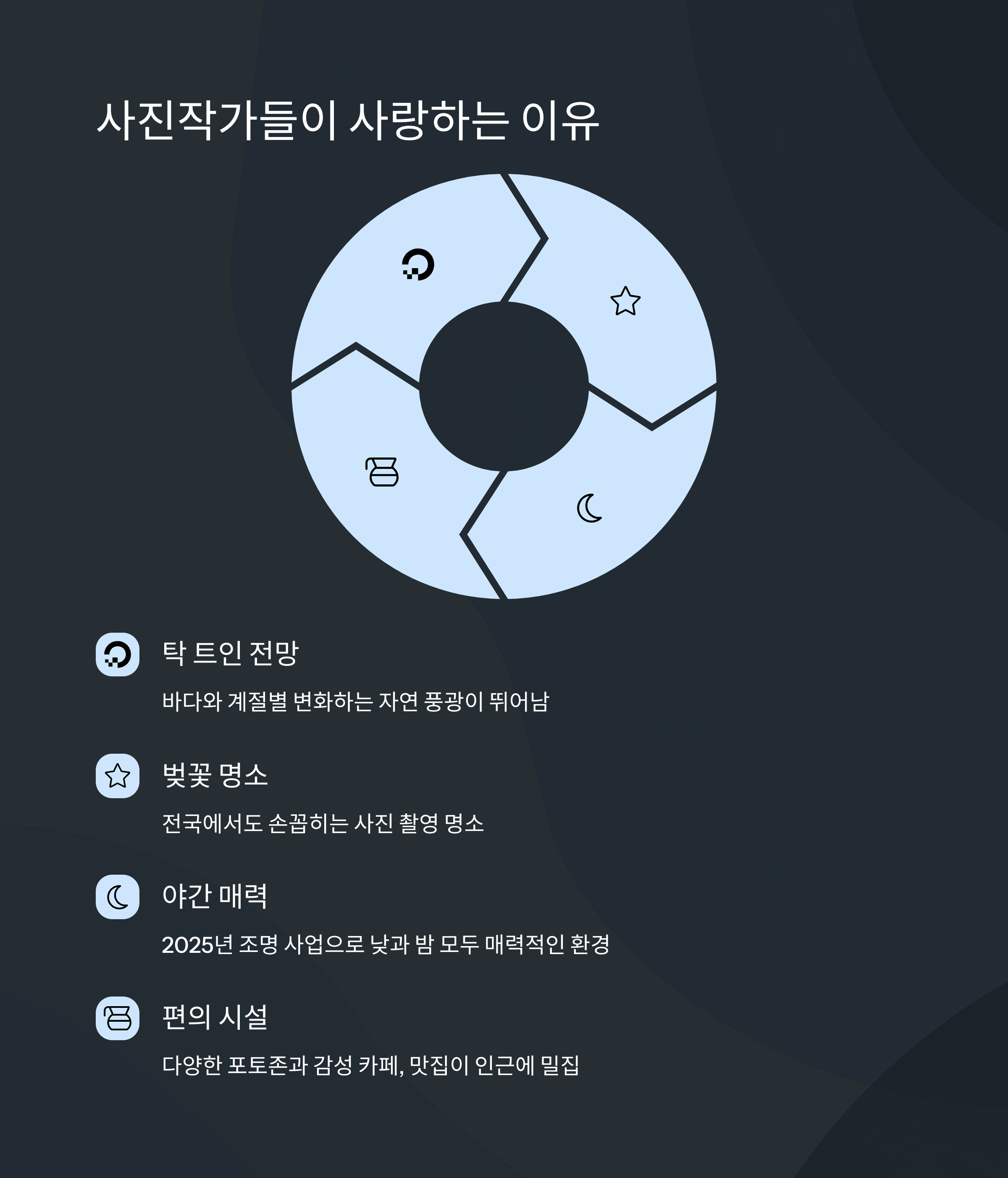 종합 평가 및 추천 이유