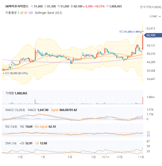 SK바이오사이언스 일봉 차트 자세히