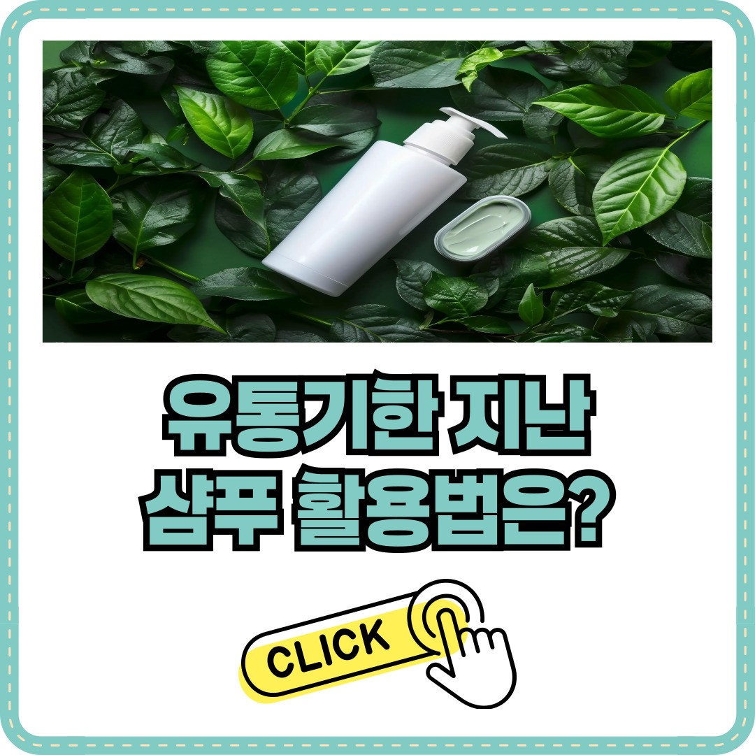 유통기한 지난 샴푸 활용법