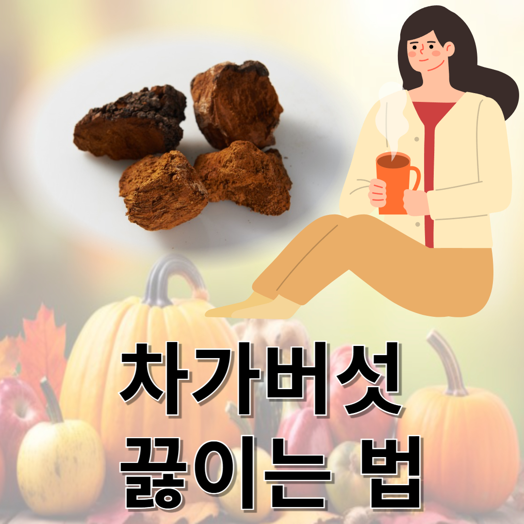 차가버섯과 관련된 사진입니다.