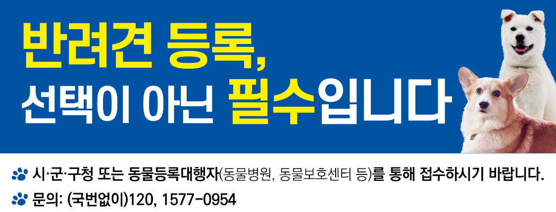 반려동물 등록제 등록방법