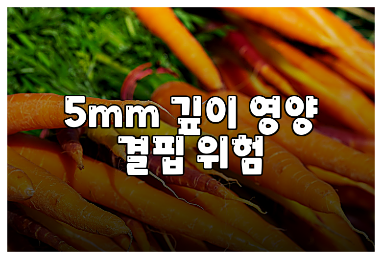 5mm 깊이 영양 결핍 위험
