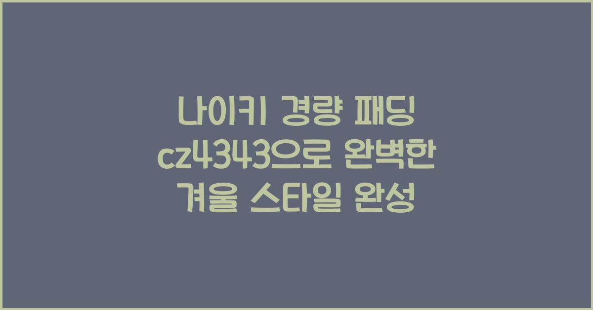 나이키 경량 패딩 cz4343