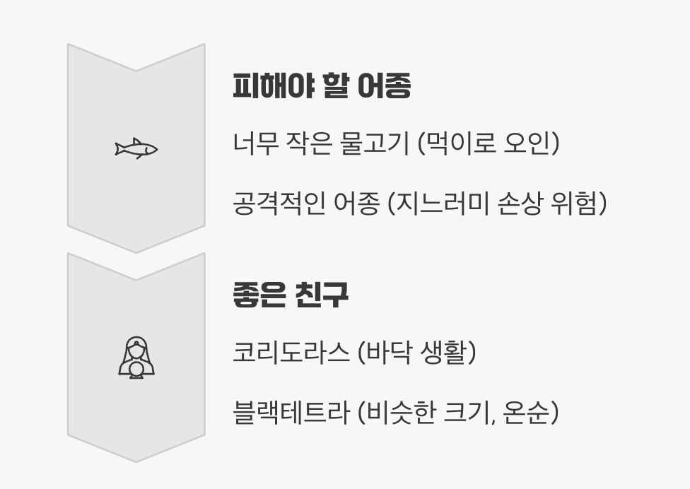 평화로운 합사를 위한 단 하나의 조건