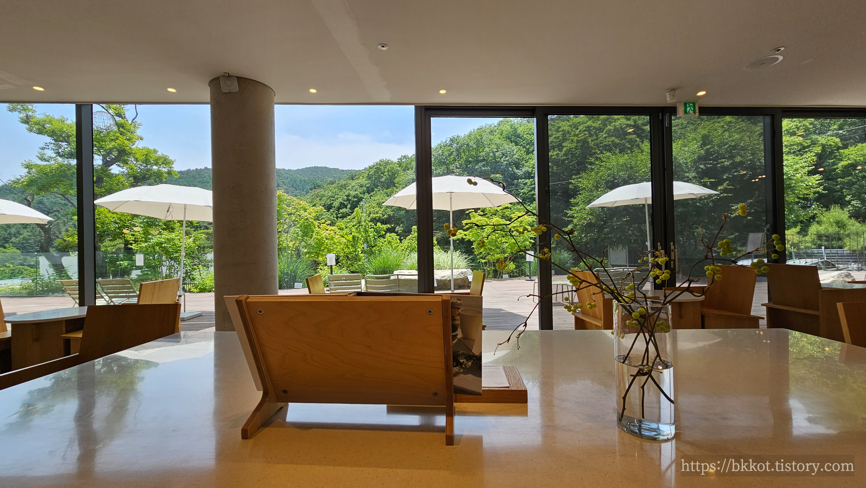 모아니 카페 사진