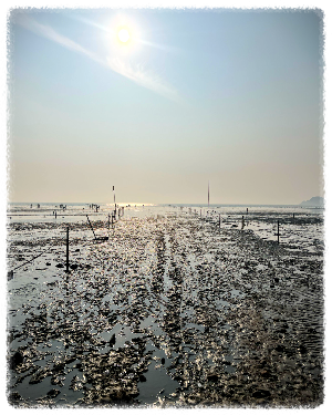 마시안어촌체험휴양마을