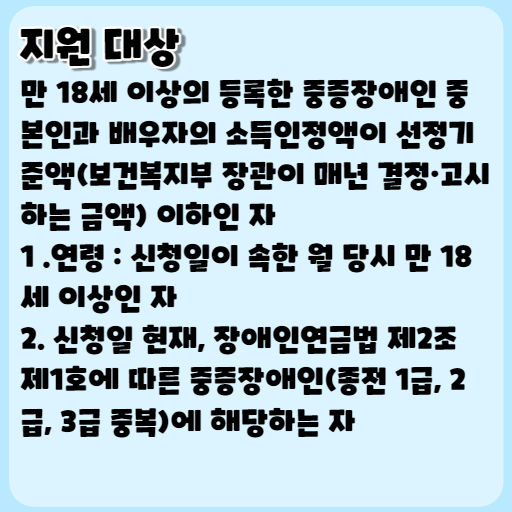 2023 장애인연금