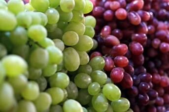 포도
