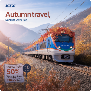 코레일 50%할인 당일치기 가을(단풍)여행 이미지