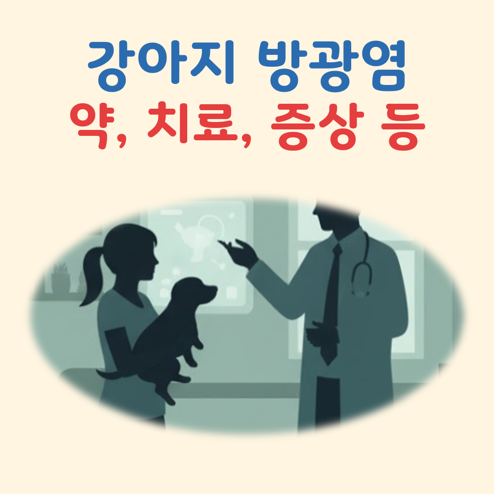 강아지 방광염 약, 치료, 증상 간단 정리 대표 이미지
