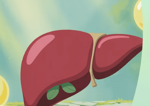 간 건강 영양제&amp;#44; 어떻게 먹어야 할까?[김도영 교수 7문 7답]